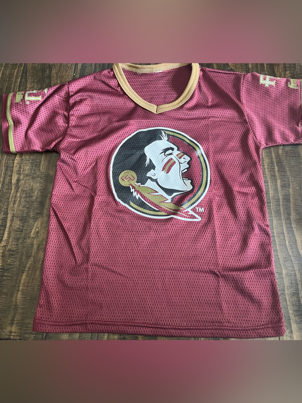 Florida State Seminoles Mesh Jersey with Team Logo - Garnet & Gold